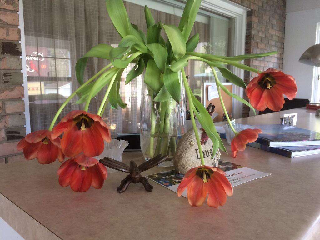 Cardinal Inn Maggie Valley Eksteriør billede